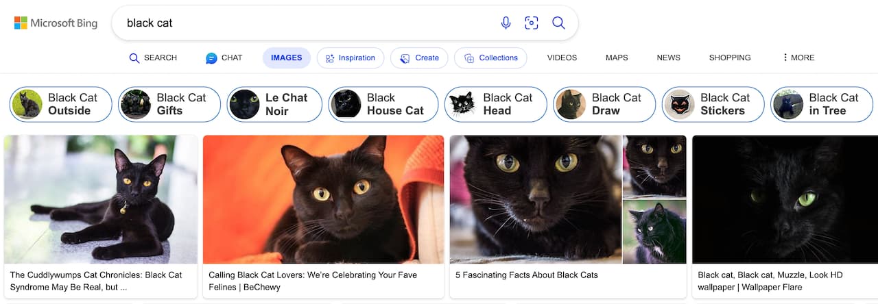 Text "Black cat" and Bing search results on Images