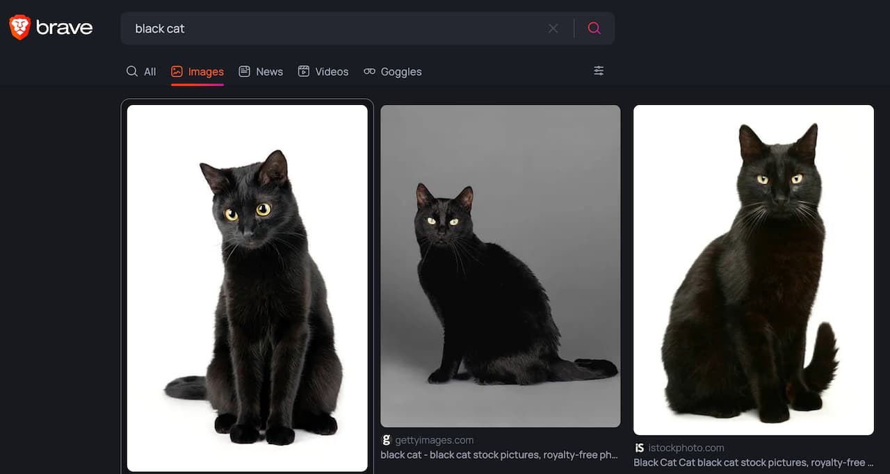 "Black cat" phrase on the Brave browser image search results